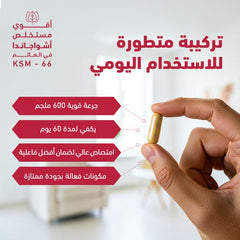 سينسيلاب أشواغاندا 600 ملغ - 120 كبسولة