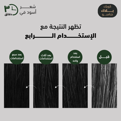 CKD Amino Biotin Quick Black Shampoo Plus 150g