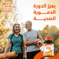 Holista Co q10 100 Mg - 50 Softgel