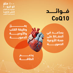 Holista Co q10 100 Mg - 50 Softgel