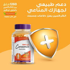 هوليستا | كوركومين 1260 مغ كركم 120 جاميز