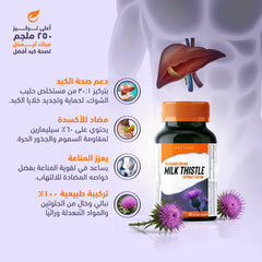 Holista Milk Thistle 250 Mg 90 Sgc