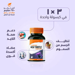 Holista Milk Thistle 250 Mg 90 Sgc