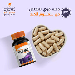Holista Milk Thistle 250 Mg 90 Sgc