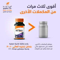 Holista Milk Thistle 250 Mg 90 Sgc